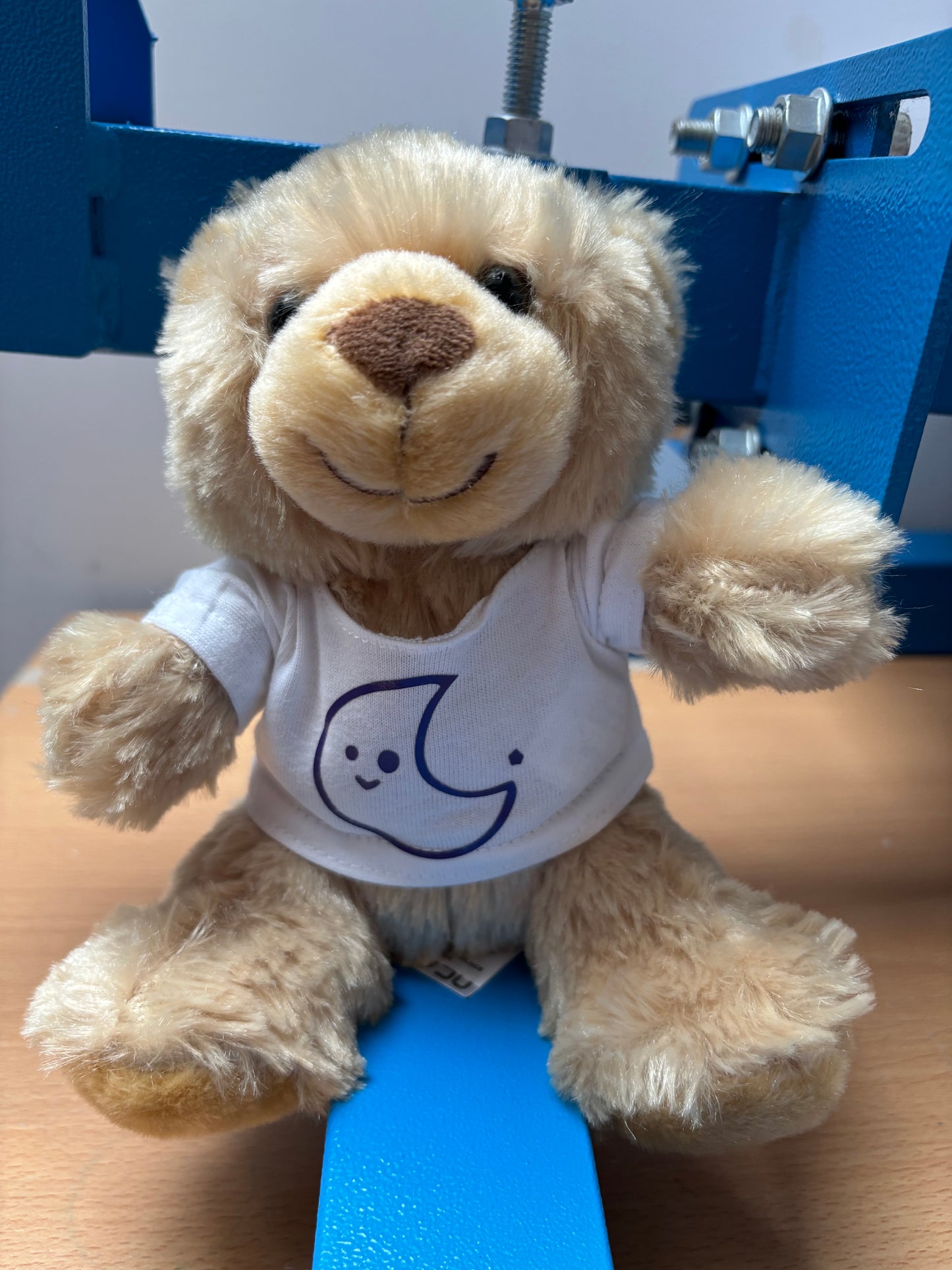 T-SHIRT PELUCHE